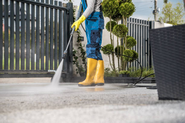 Best Building Exterior Washing  in Pasadena Hills, FL
